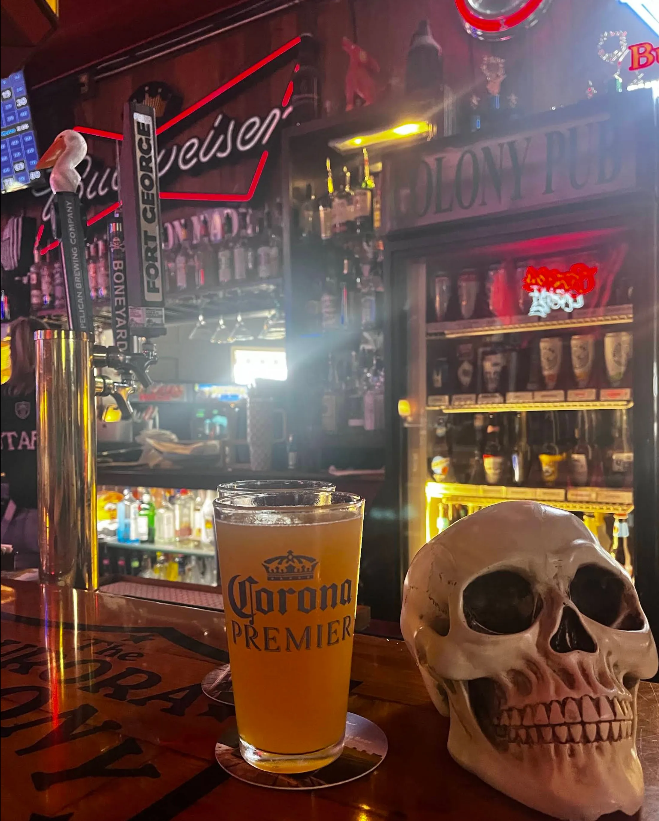 A frosty pint on the bar beside a decorative skull, neon signs and backlit liquor shelves behind.
